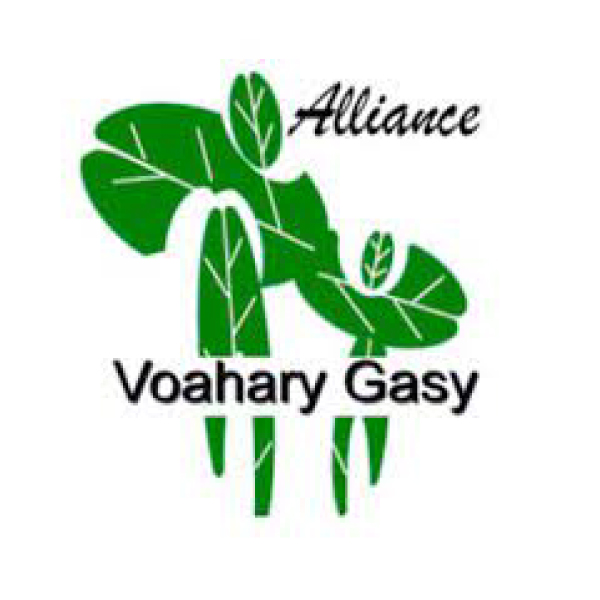 AVG Logo