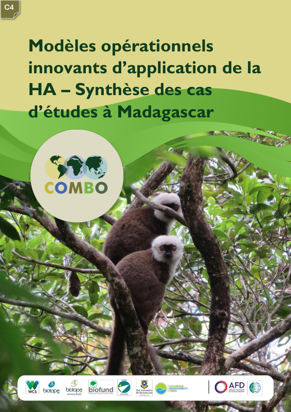 Rapport de synthèse de cas d'étude - Modèles innovants d'applications de la hiérarchie d'atténuation à Madagascar